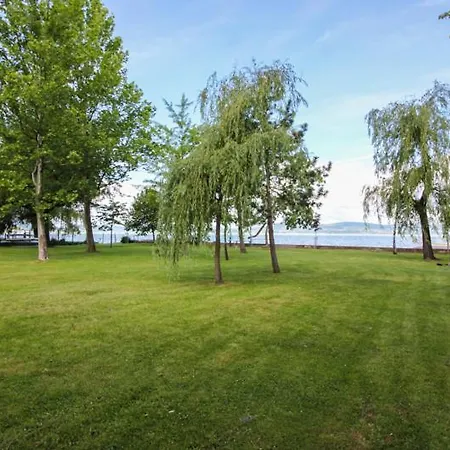 Panoráma *